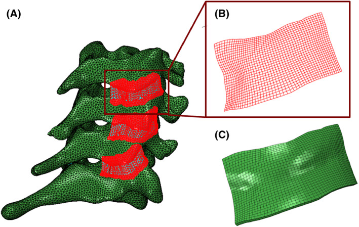 FIGURE 2