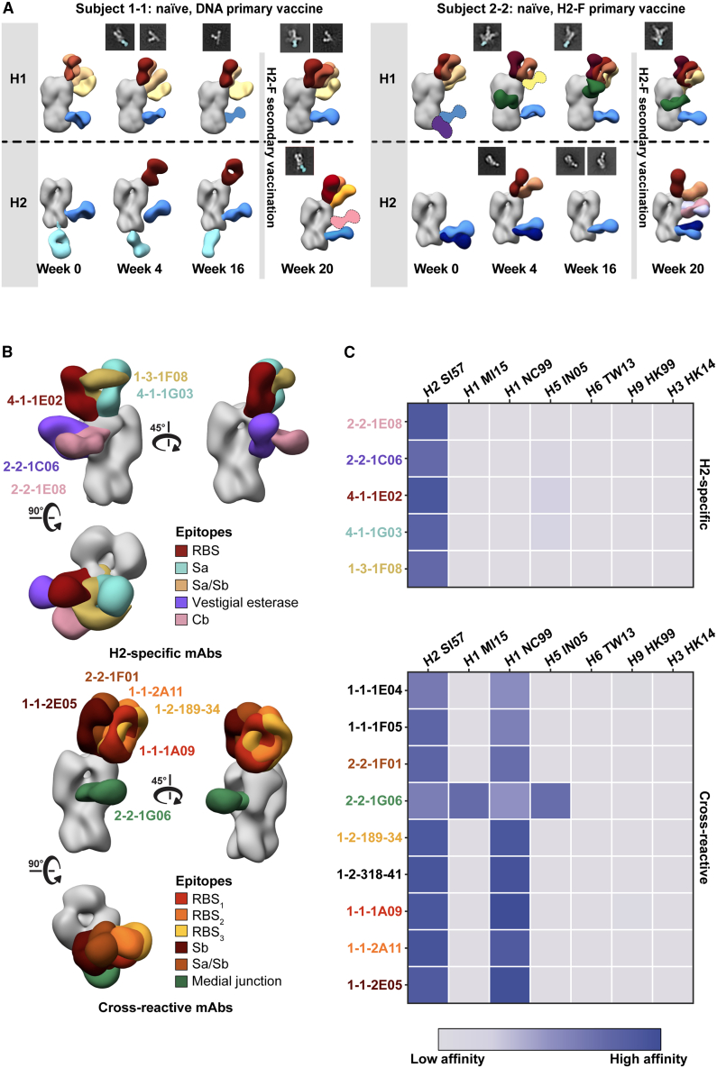 Figure 4