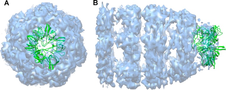 Fig. 4.