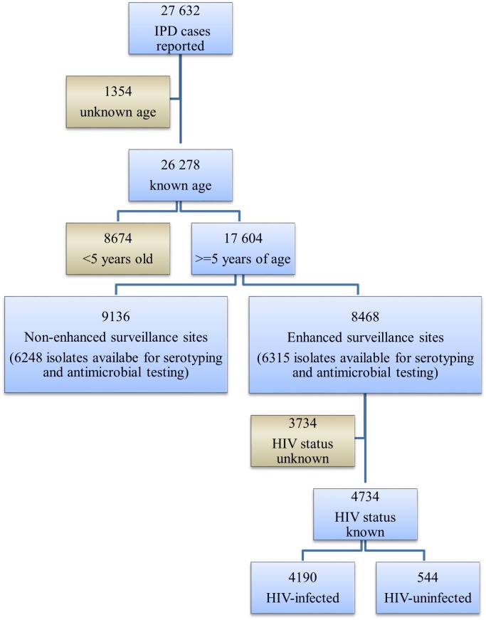 Fig 1