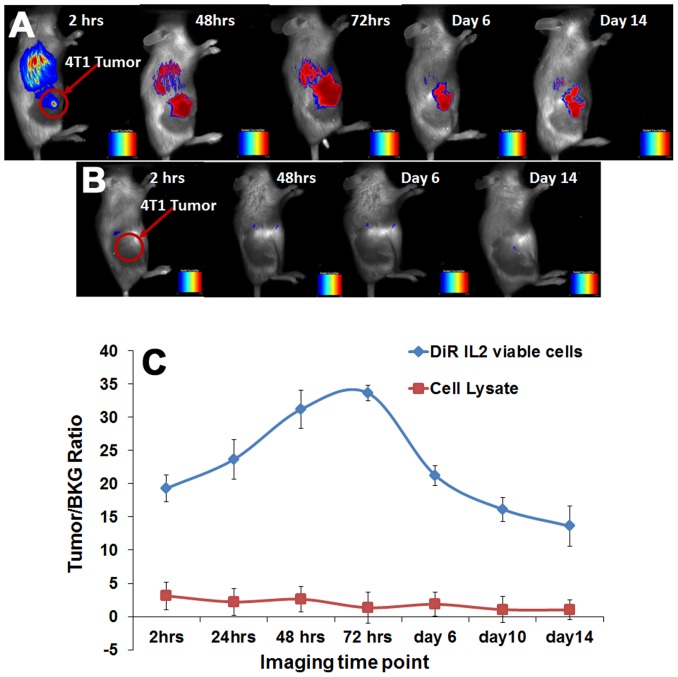 Figure 4