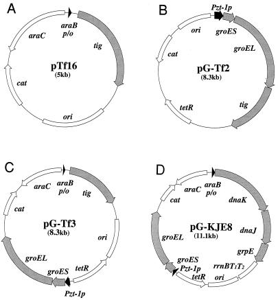 FIG. 1