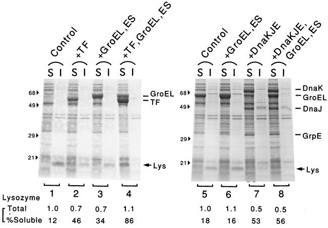 FIG. 5