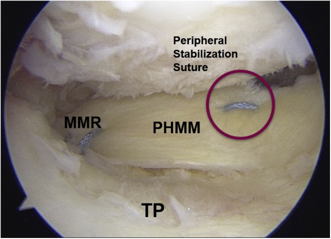 Fig 8