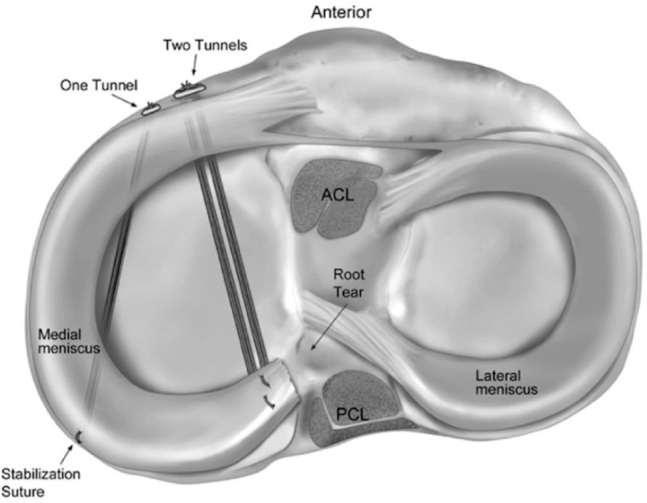 Fig 7