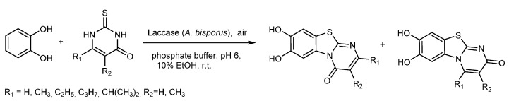 Scheme 7