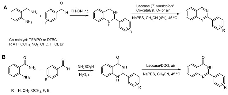 Scheme 8