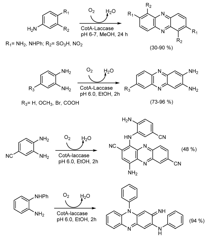 Scheme 10