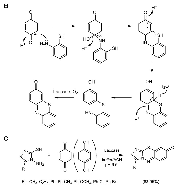 Scheme 16