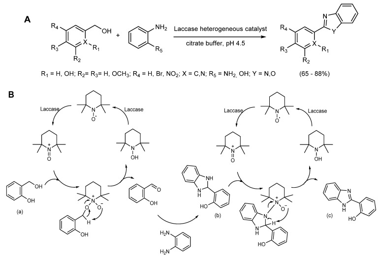 Scheme 5