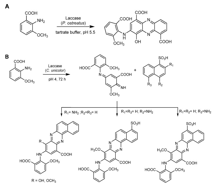 Scheme 12