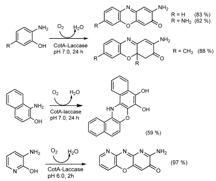 Scheme 14