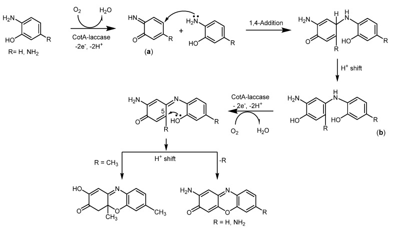 Scheme 15