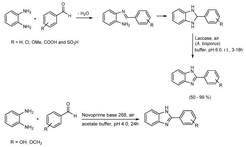 Scheme 4