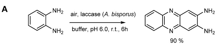 Scheme 9