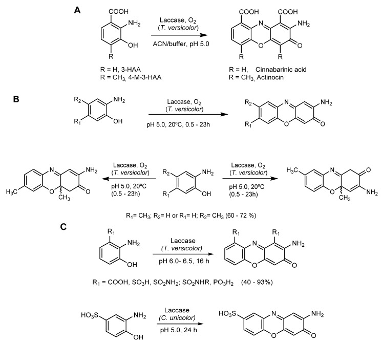 Scheme 13