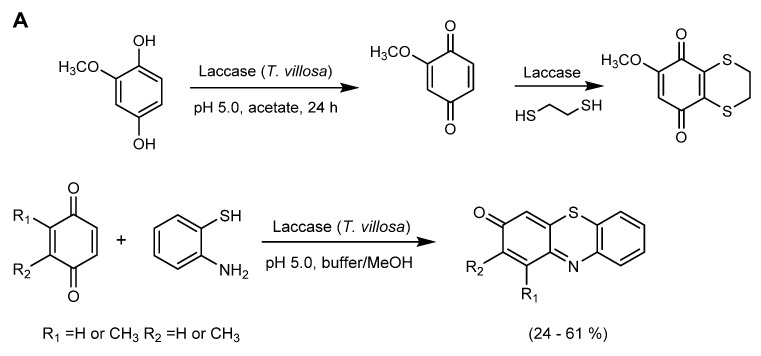 Scheme 16