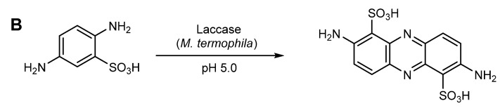 Scheme 9