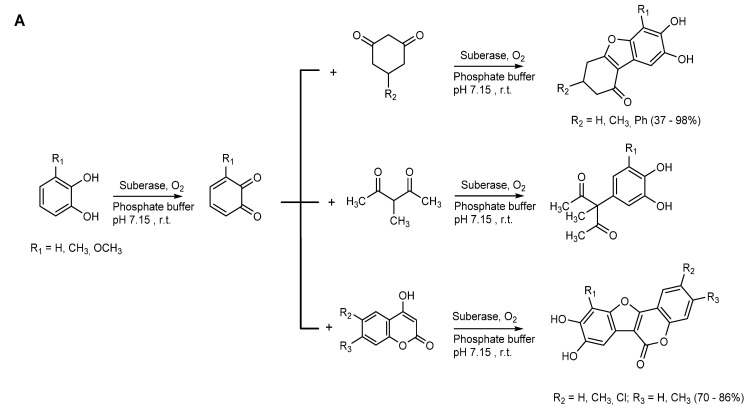 Scheme 3