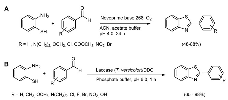 Scheme 6