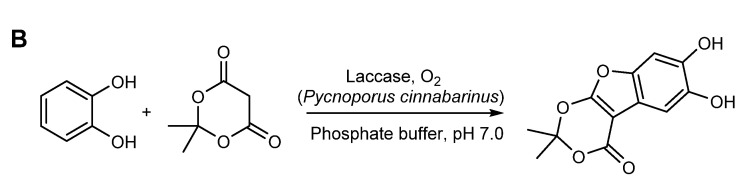 Scheme 3