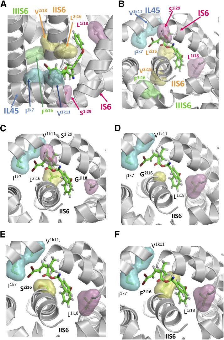 Fig. 6.