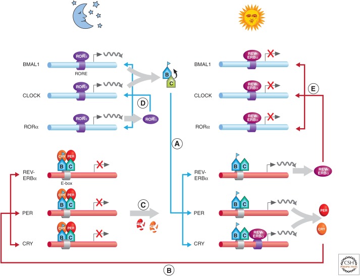 Figure 5.