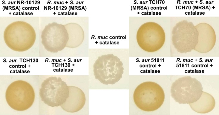 FIG 4