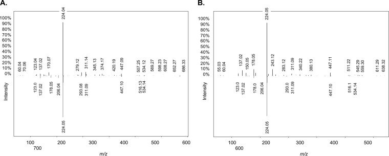 FIG 2