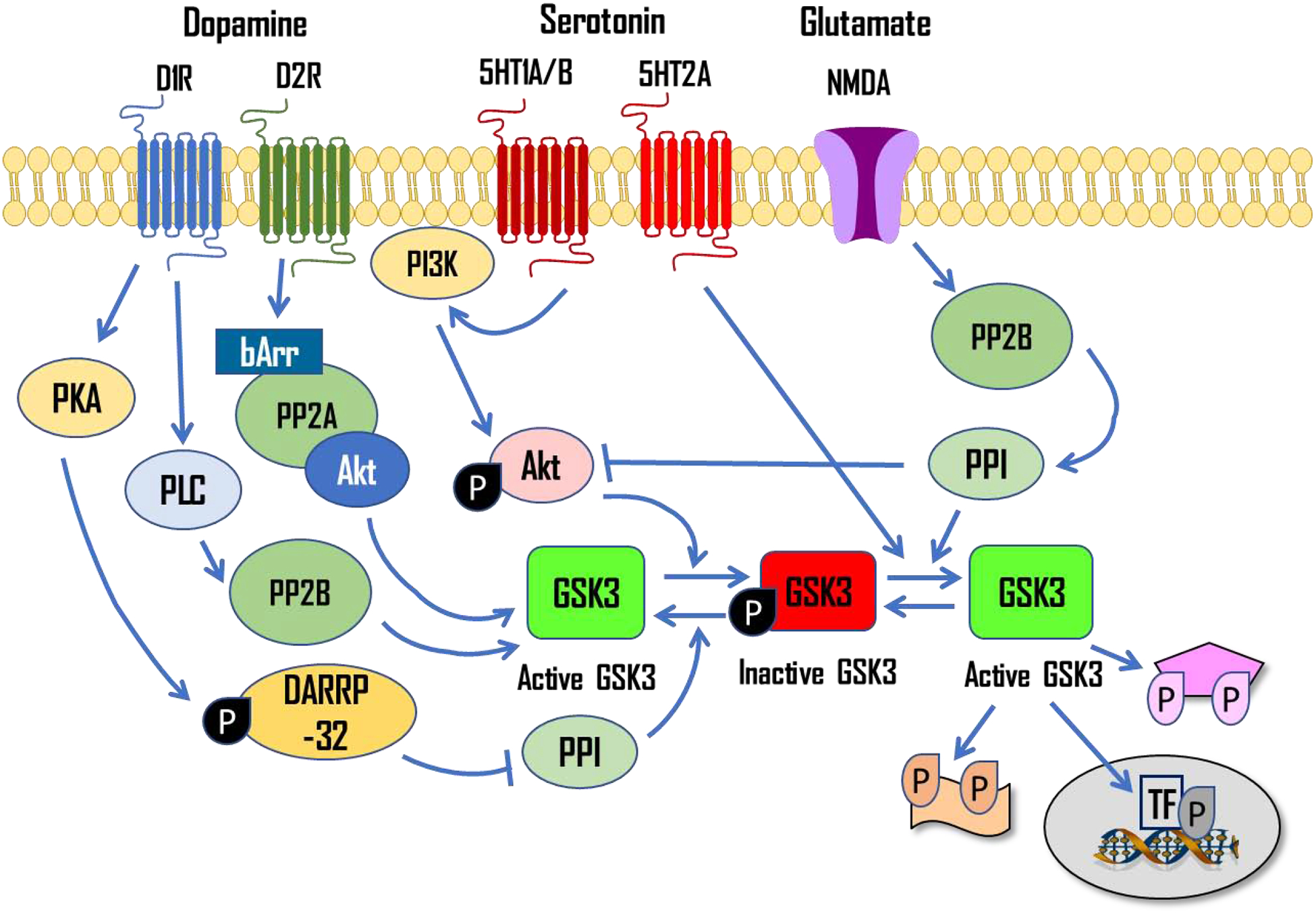 Figure 2.