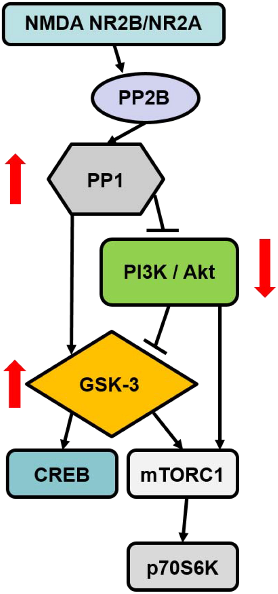 Figure 3: