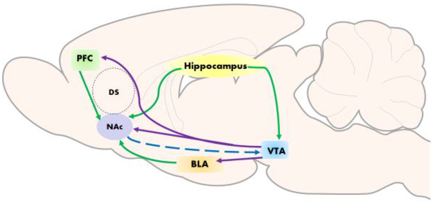 Figure 1: