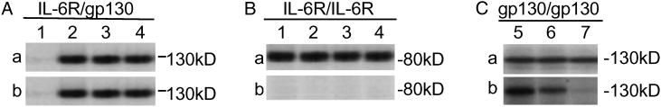 Fig 3.