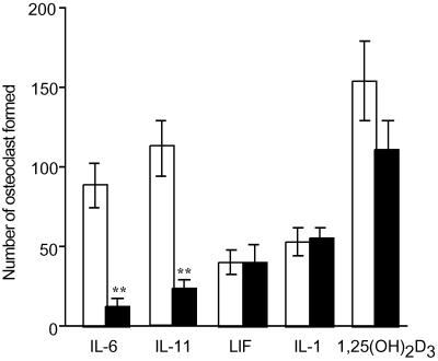 Fig 5.