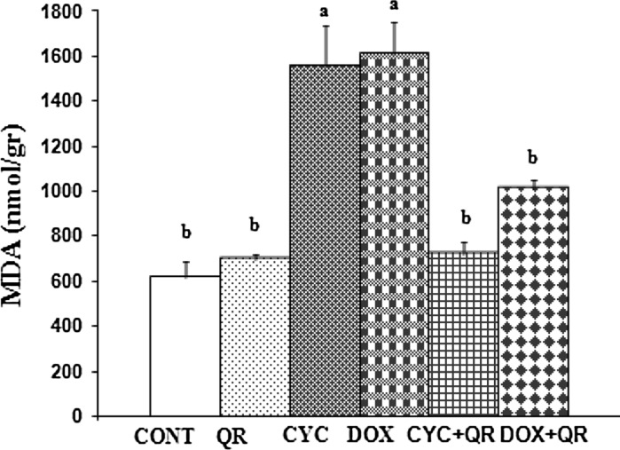 Fig. 5