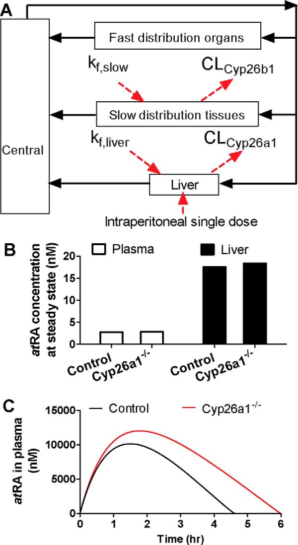 Figure 10.