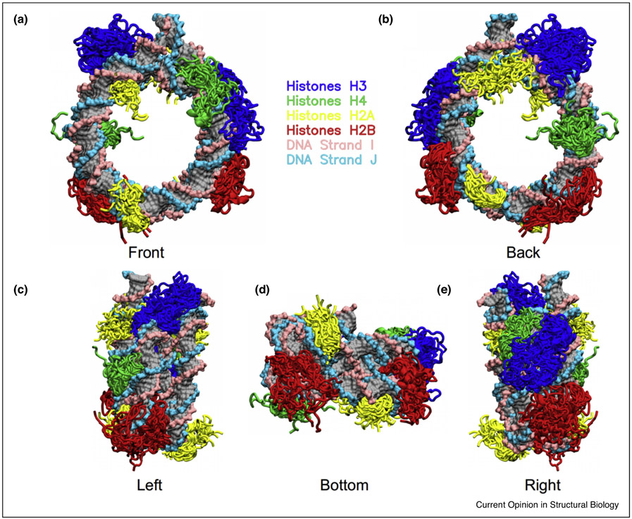 Figure 3.