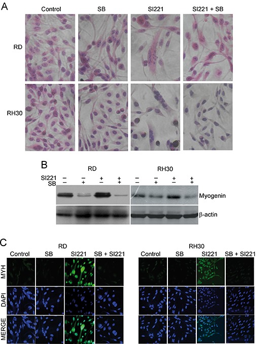 Figure 6