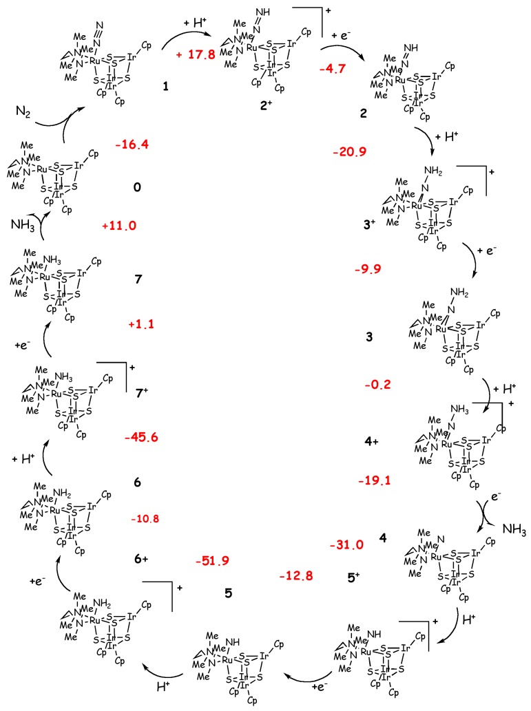 Scheme 3