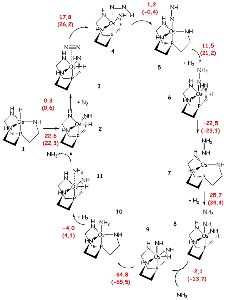 Scheme 6