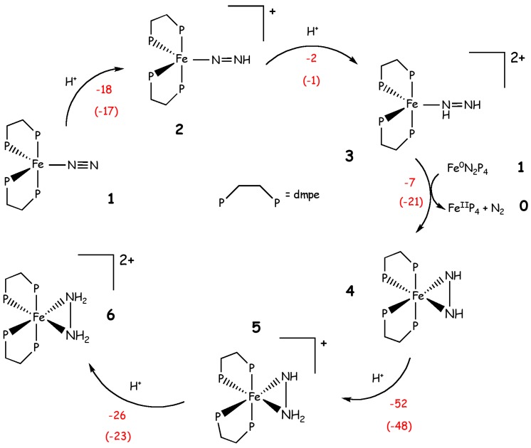 Scheme 4