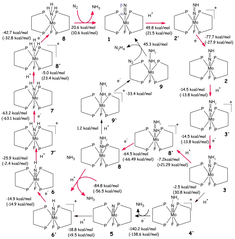 Scheme 2