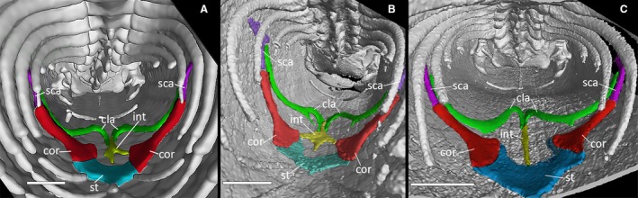 Figure 9