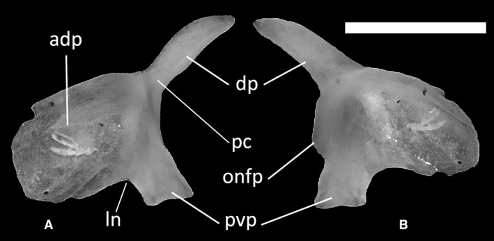 Figure 17