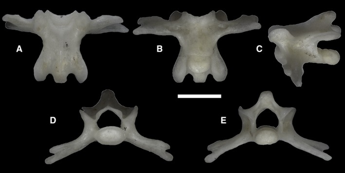 Figure 43