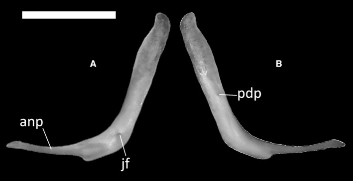 Figure 16