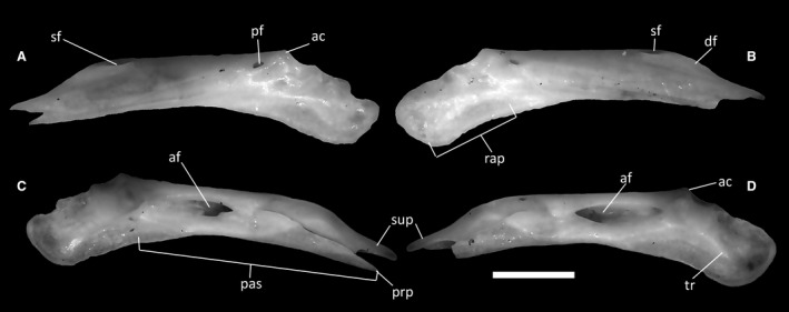 Figure 32