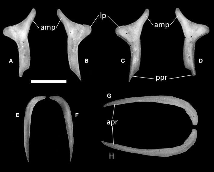 Figure 18