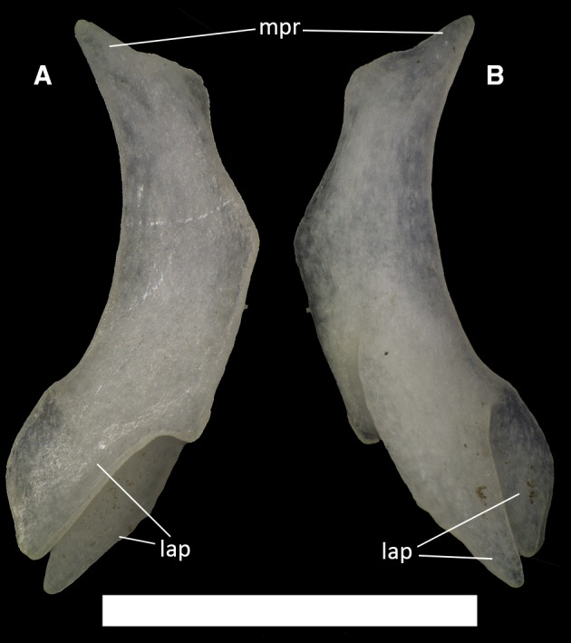 Figure 26