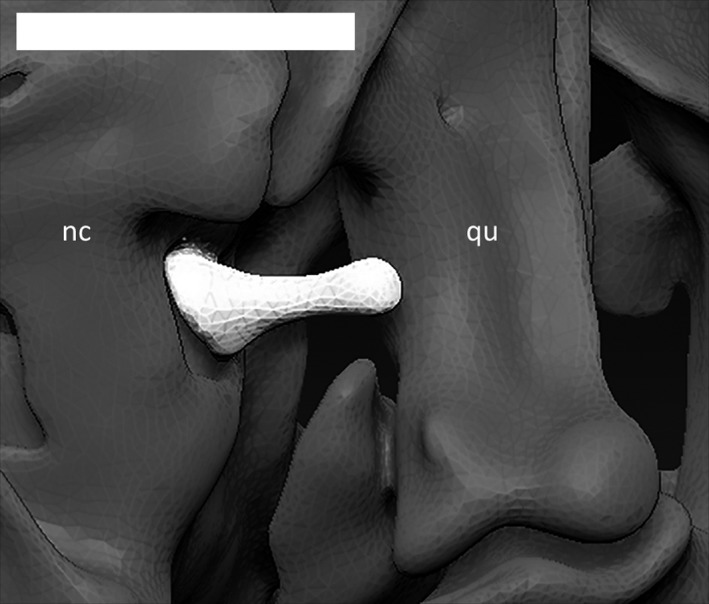 Figure 28